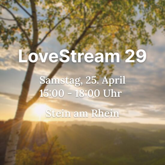LoveStream 29 - Online Teilnahme