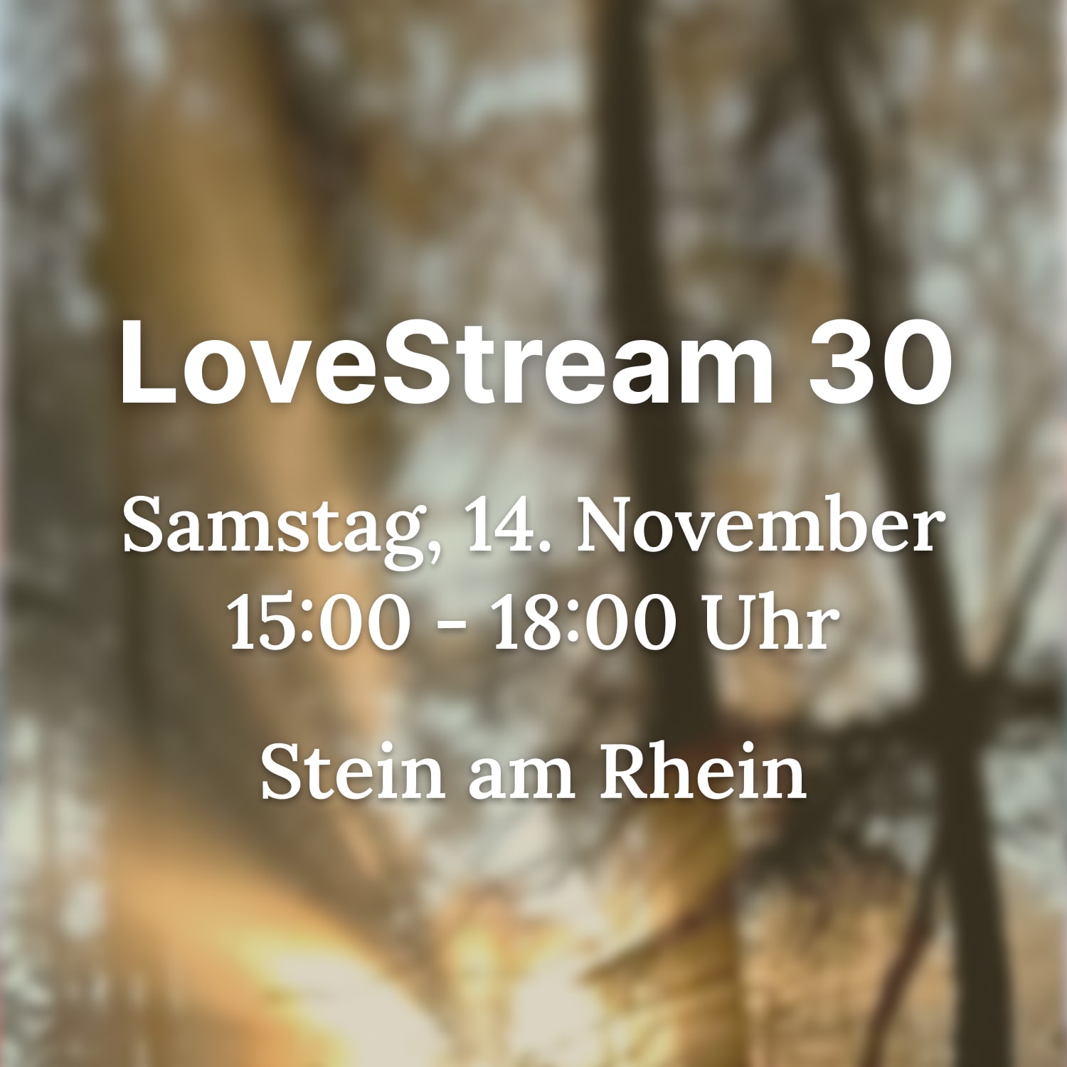 LoveStream 30 - Vor Ort Teilnahme